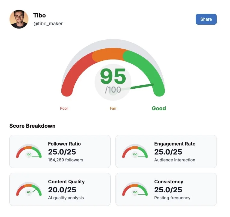 X profile audit results and insights